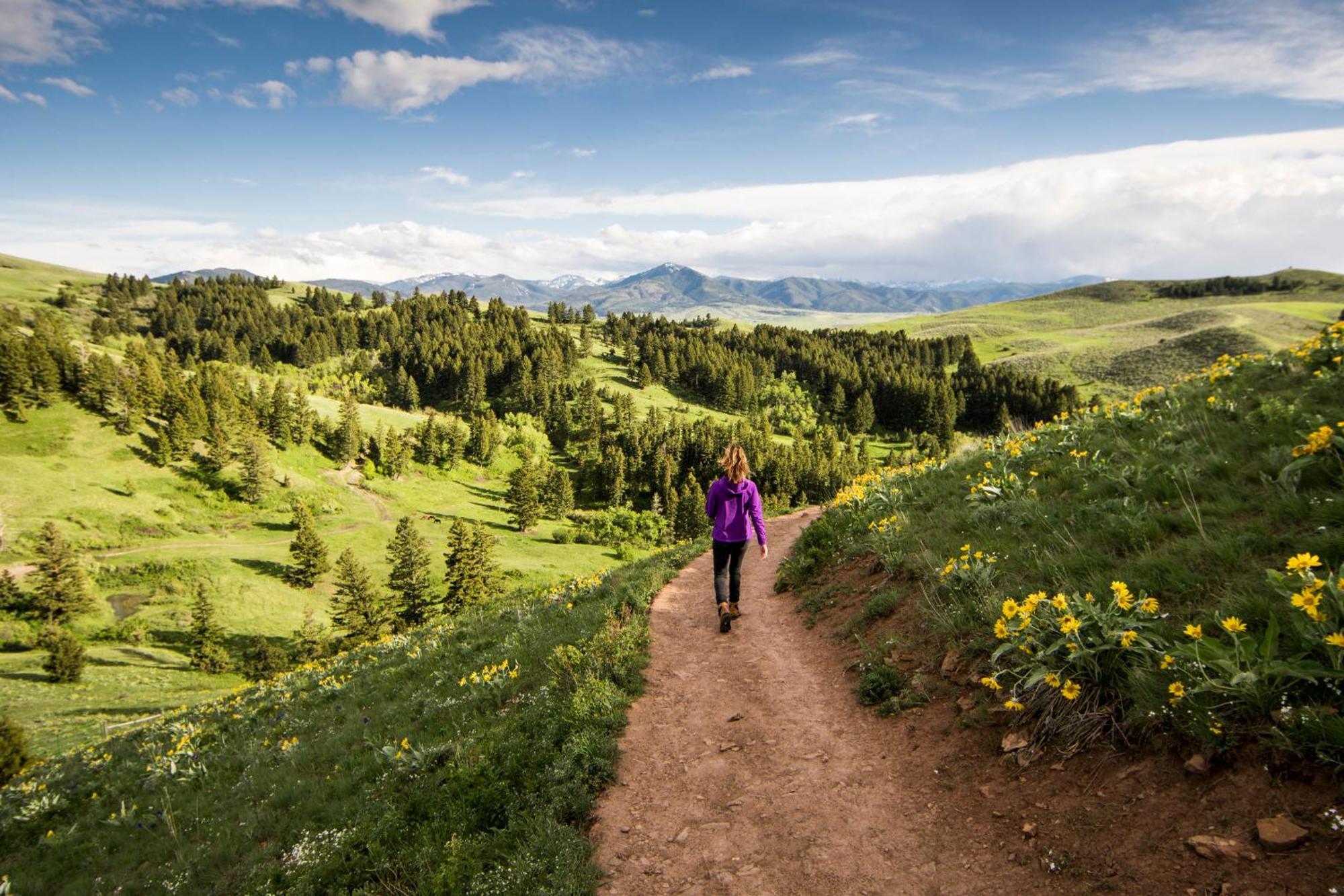 Even Hotel Bozeman Yellowstone Intl Arpt By Ihg Belgrade Ngoại thất bức ảnh